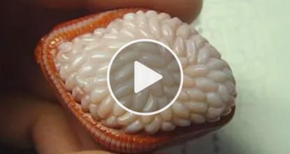 Diabetes Can Disappear In 5 Days, Sugar Can Drop To 4.4