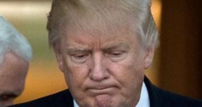 Would you vote for Trump if he ran in 2024?