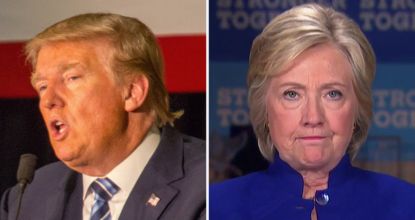 Would you vote for Hillary Clinton for president in 2024?